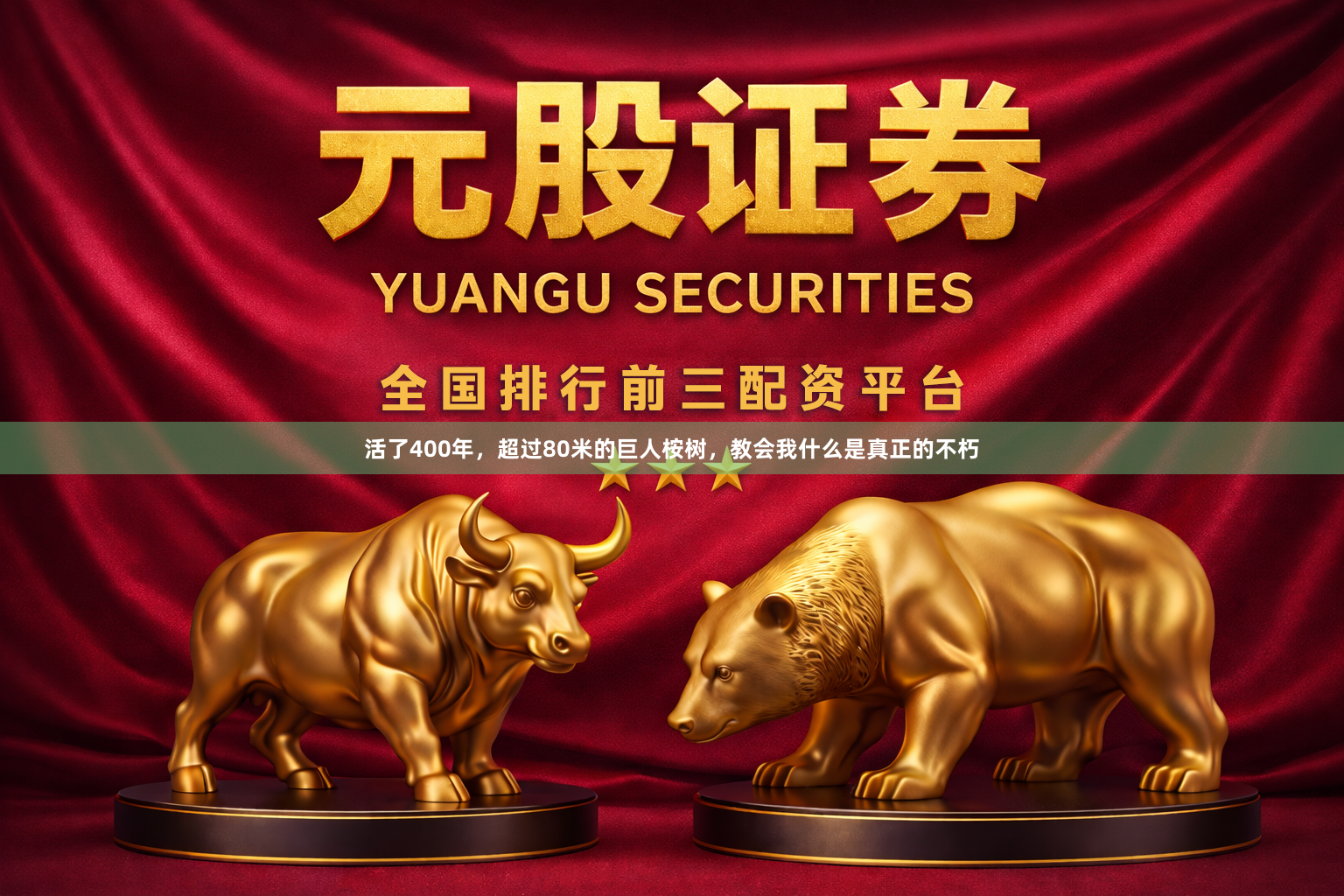 活了400年，超过80米的巨人桉树，教会我什么是真正的不朽