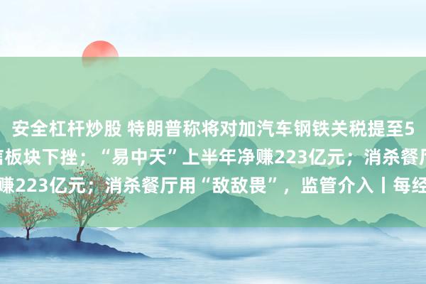 安全杠杆炒股 特朗普称将对加汽车钢铁关税提至50%；美股存储、光通信板块下挫；“易中天”上半年净赚223亿元；消杀餐厅用“敌敌畏”，监管介入丨每经早参